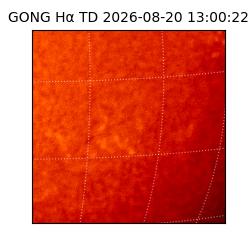 gong - 2026-08-20T13:00:22