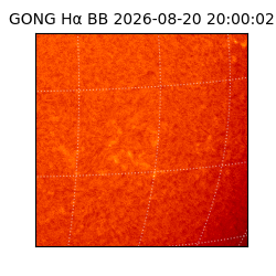 gong - 2026-08-20T20:00:02