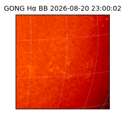 gong - 2026-08-20T23:00:02