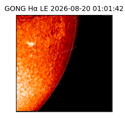 gong - 2026-08-20T01:01:42