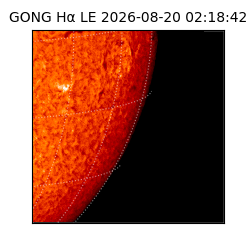gong - 2026-08-20T02:18:42
