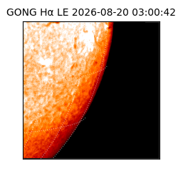 gong - 2026-08-20T03:00:42