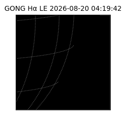 gong - 2026-08-20T04:19:42