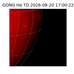 gong - 2026-08-20T17:00:22