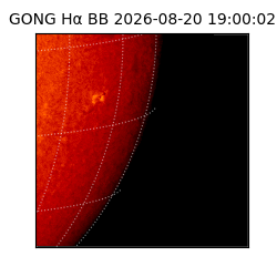 gong - 2026-08-20T19:00:02