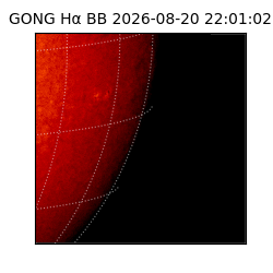 gong - 2026-08-20T22:01:02
