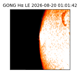 gong - 2026-08-20T01:01:42