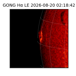 gong - 2026-08-20T02:18:42