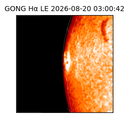 gong - 2026-08-20T03:00:42