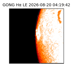 gong - 2026-08-20T04:19:42