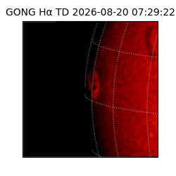 gong - 2026-08-20T07:29:22