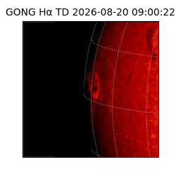 gong - 2026-08-20T09:00:22