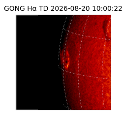 gong - 2026-08-20T10:00:22
