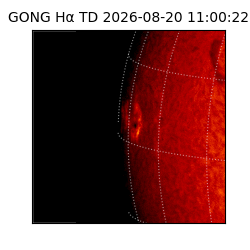 gong - 2026-08-20T11:00:22