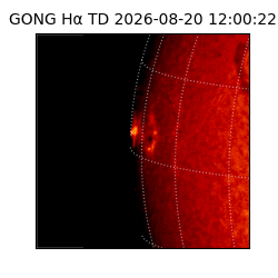 gong - 2026-08-20T12:00:22
