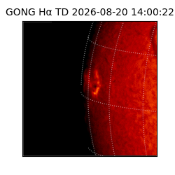 gong - 2026-08-20T14:00:22