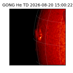 gong - 2026-08-20T15:00:22
