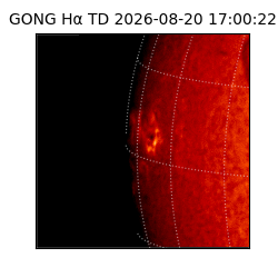 gong - 2026-08-20T17:00:22