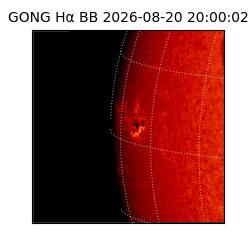 gong - 2026-08-20T20:00:02