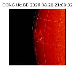 gong - 2026-08-20T21:00:02