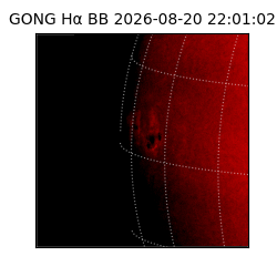 gong - 2026-08-20T22:01:02