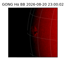 gong - 2026-08-20T23:00:02