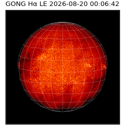 gong - 2026-08-20T00:06:42