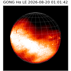 gong - 2026-08-20T01:01:42