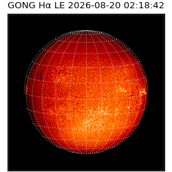 gong - 2026-08-20T02:18:42