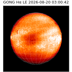 gong - 2026-08-20T03:00:42
