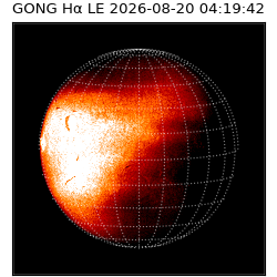 gong - 2026-08-20T04:19:42