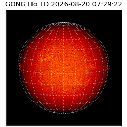 gong - 2026-08-20T07:29:22