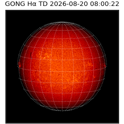 gong - 2026-08-20T08:00:22