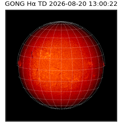 gong - 2026-08-20T13:00:22
