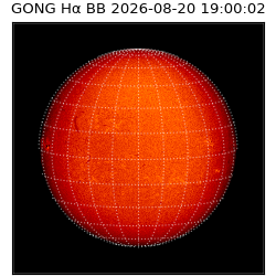 gong - 2026-08-20T19:00:02