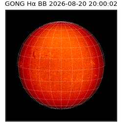 gong - 2026-08-20T20:00:02