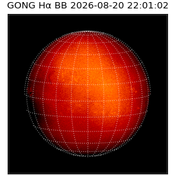 gong - 2026-08-20T22:01:02