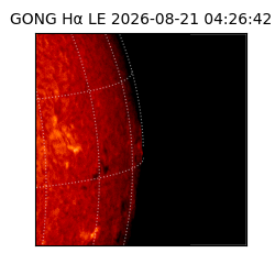 gong - 2026-08-21T04:26:42