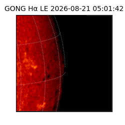 gong - 2026-08-21T05:01:42