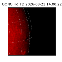 gong - 2026-08-21T14:00:22