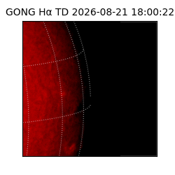 gong - 2026-08-21T18:00:22