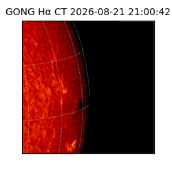 gong - 2026-08-21T21:00:42