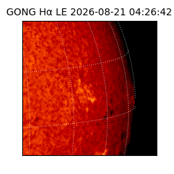gong - 2026-08-21T04:26:42