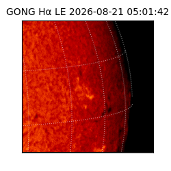 gong - 2026-08-21T05:01:42