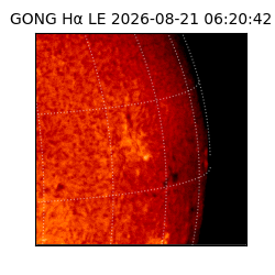 gong - 2026-08-21T06:20:42