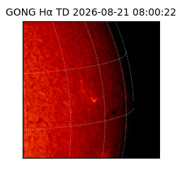 gong - 2026-08-21T08:00:22