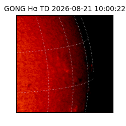 gong - 2026-08-21T10:00:22