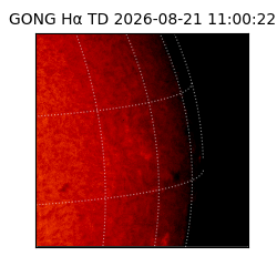 gong - 2026-08-21T11:00:22