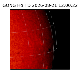 gong - 2026-08-21T12:00:22