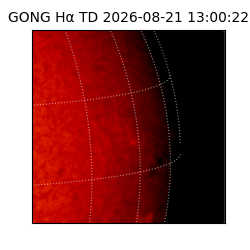 gong - 2026-08-21T13:00:22